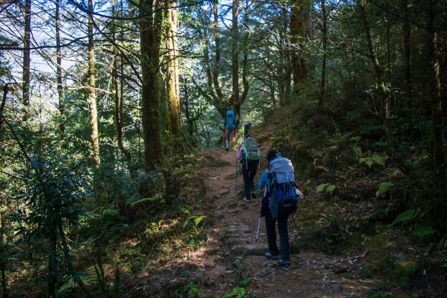 Pokhara: 9-Day Annapurna Base Camp Trek with Poon Hill - The main event: Deurali to Annapurna Base Camp