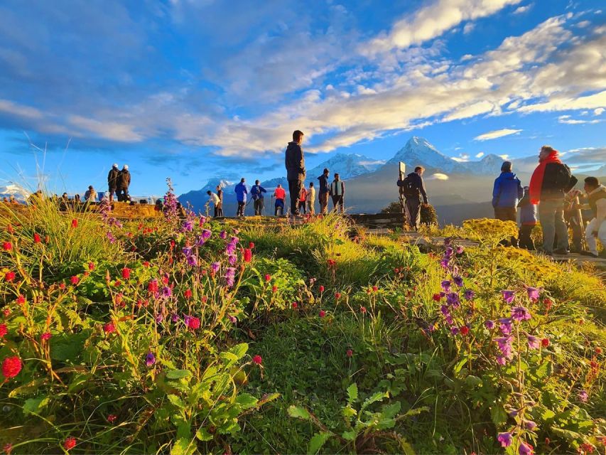 Pokhara: 9-Day Annapurna Base Camp Trek with Poon Hill - Descending to Bamboo at 2,300 meters