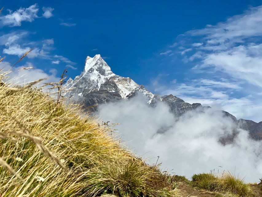 Pokhara: Majestic Mardi Base Camp Guided Trek with HotSpring - Day 3: The 4,300-meter viewpoint and the long descent