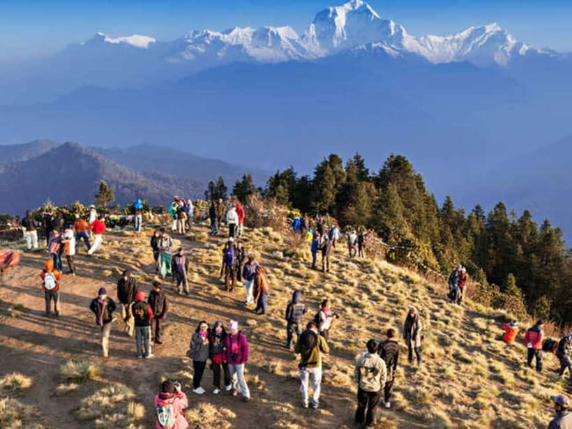 Pokhara: Poon Hill Trek - Day Two: Rhododendron Forests on the Way to Ghorepani