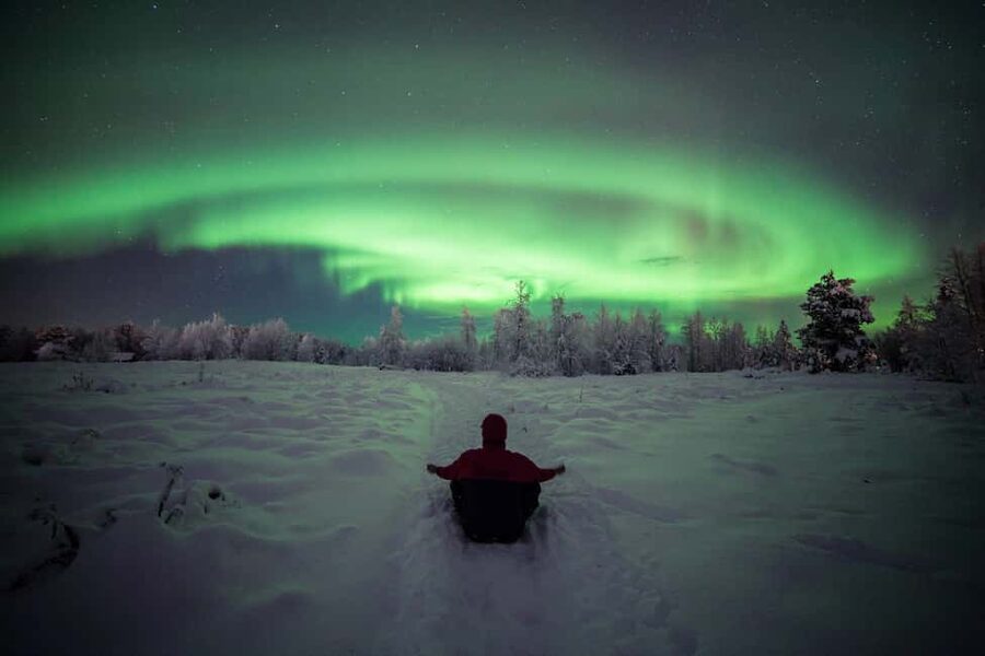 Polar Night Snowshoe Trek - Searching for grouse and reindeer signs