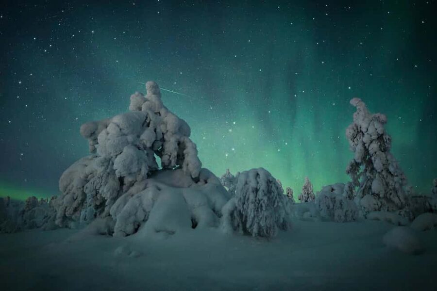 Polar Night Snowshoe Trek - Walking beyond the marked paths