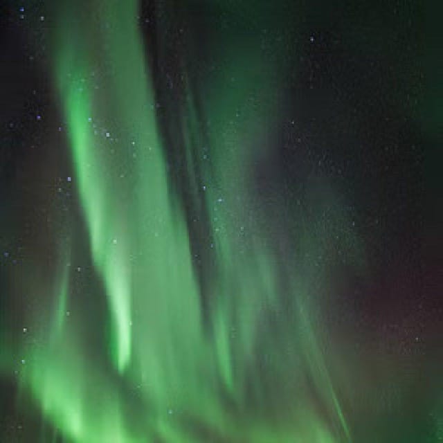 Polar Night Snowshoe Trek - Who will enjoy this trek most