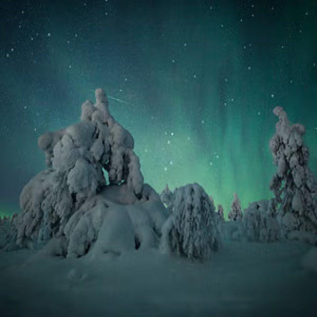 Polar Night Snowshoe Trek - My recommendation for the Polar Night Snowshoe Trek