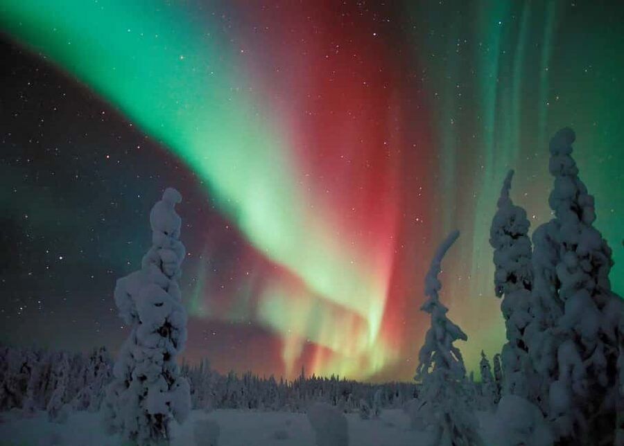 Polar Night Snowshoe Trek - Getting used to snowshoes and the winter forest