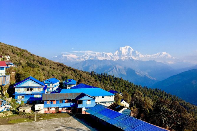 POON HILL HOT SPRING - 10 Days Trek - Day 6: Tadapani to Jhinu Danda and the hot spring