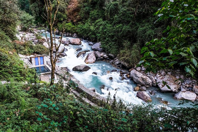 POON HILL HOT SPRING - 10 Days Trek - Day 7: Jhinu Danda to Ghandruk