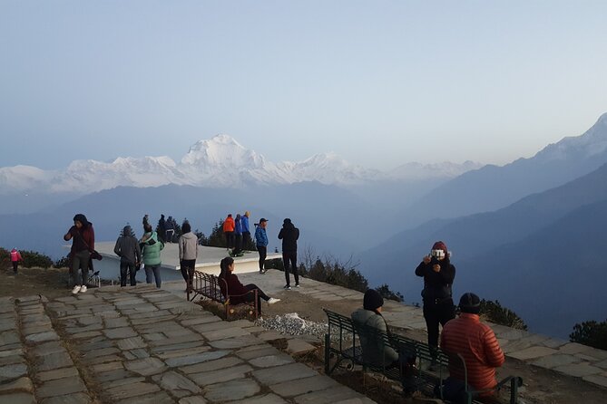 Poon hill Trek 3 days - Rhododendrons, forests, and mountain wildlife