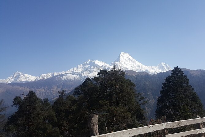 Poon hill Trek 3 days - Poon Hill sunrise and the big mountain panorama