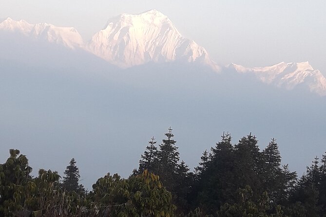 Poon hill Trek 3 days - Starting from Pokhara at 8:15 am