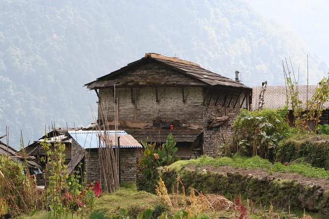 Poon Hill Trek - Day five: the hard climb to Ghorepani