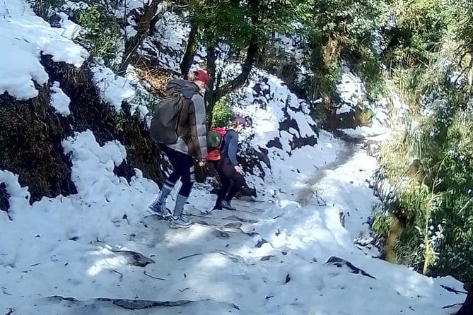 Poon Hill Trek package - Day four: Poon Hill sunrise and the walk to Ghandruk