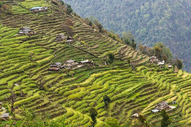 Poon Hill Trekking- A day to explore Nepal in a short time - Day 4: The 3,200 steps to Ulleri