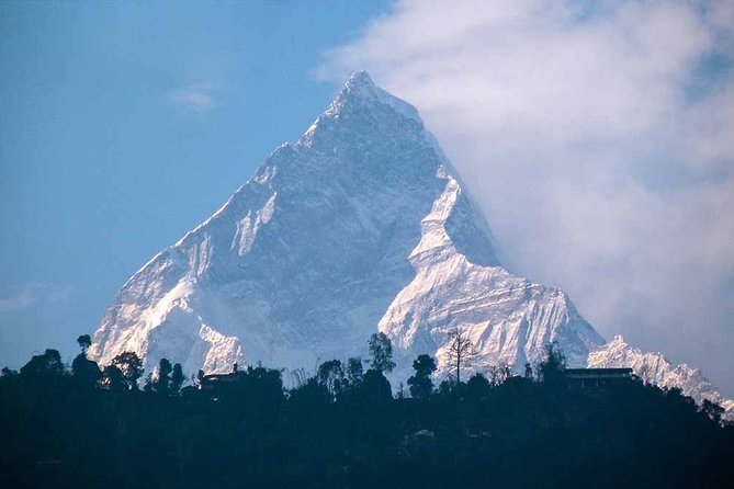Poon Hill Trekking- A day to explore Nepal in a short time - Day 6: Forest paths and Gurung Ghandruk