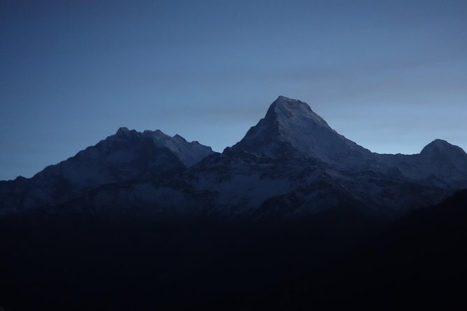 Poonhill Trek - Day 3: Forest walking from Ulleri to Ghorepani