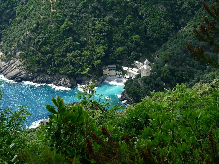 Portofino Park Trekking- Discover San Fruttuoso Bay - Walking through Portofino Natural Park