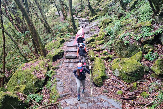 Private 12-Day All Inclusive Guided Annapurna Base Camp Trek Tour - Birethanti to Ghandruk, where the trek begins