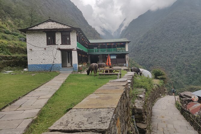 Private 12-Day All Inclusive Guided Annapurna Base Camp Trek Tour - Dobhan and Deurali before the high country
