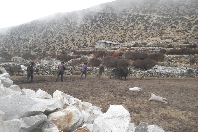 Private 12 - Day Everest Base Camp Trekking - Day 7: The memorials above Thukla and the approach to Lobuche