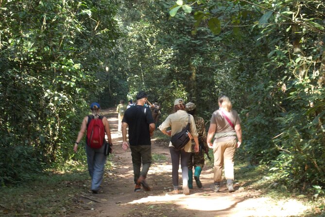Private 2 Days Volcano Golden Monkey and Bwindi Gorilla Trek - The 5:00 am start from Kigali
