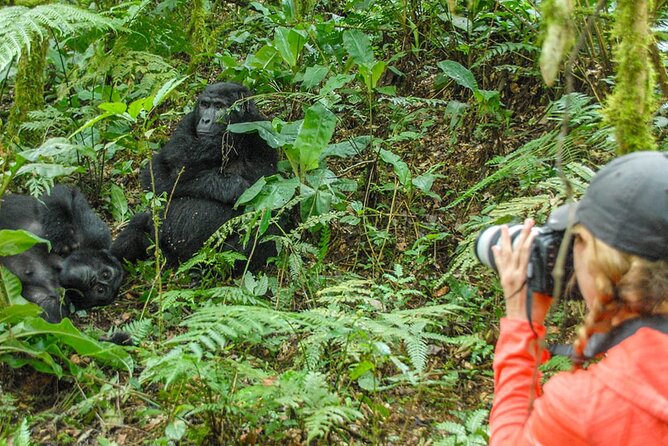 Private 3 Day Gorilla Trekking Safari in Uganda - What the price includes, and what it does not