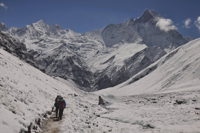 Private 7 - Day Annapurna Base Camp Trekking - Day 5: An eight-hour return through the Annapurna region