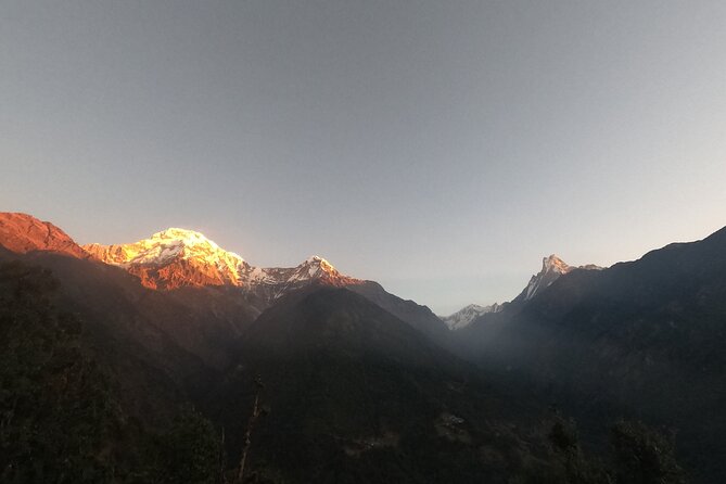 Private 7 - Day Annapurna Base Camp Trekking - Day 2: Stone stairs, Sinuwa, and Bamboo