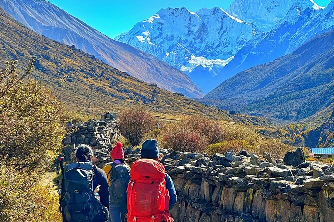Private 8 - Day Langtang Trekking - Day 7: Lama Hotel to Syabrubensi