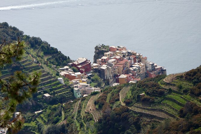 Private Cinque Terre Trek & Tour - How flexible is the private format?