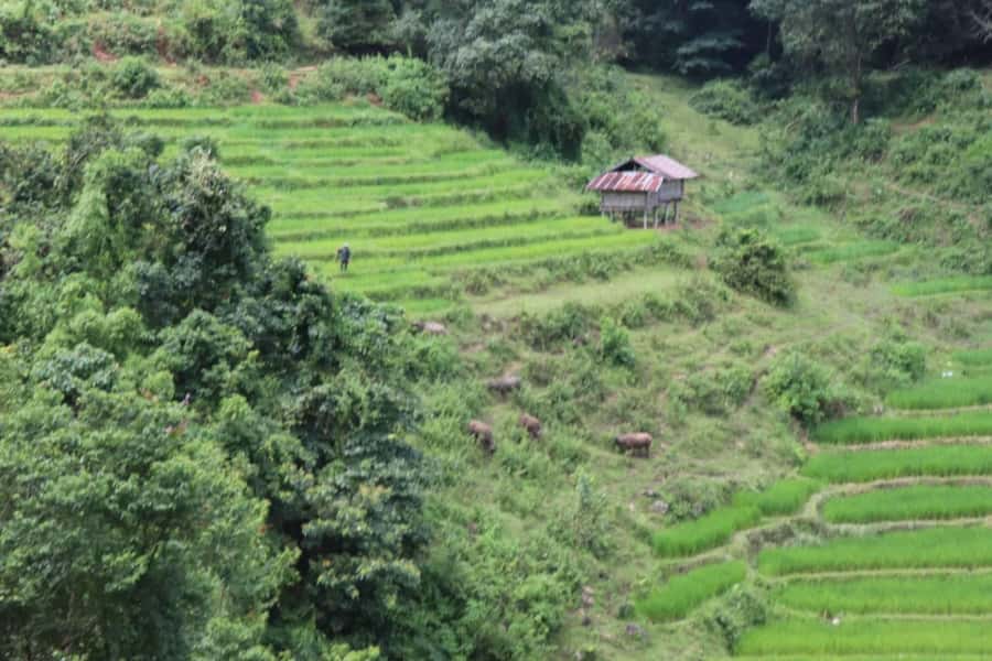 Private Doi Inthanon, Nature Trail, Wat Phra That Doi Kham - Wachirathan Waterfall and the final mountain stop