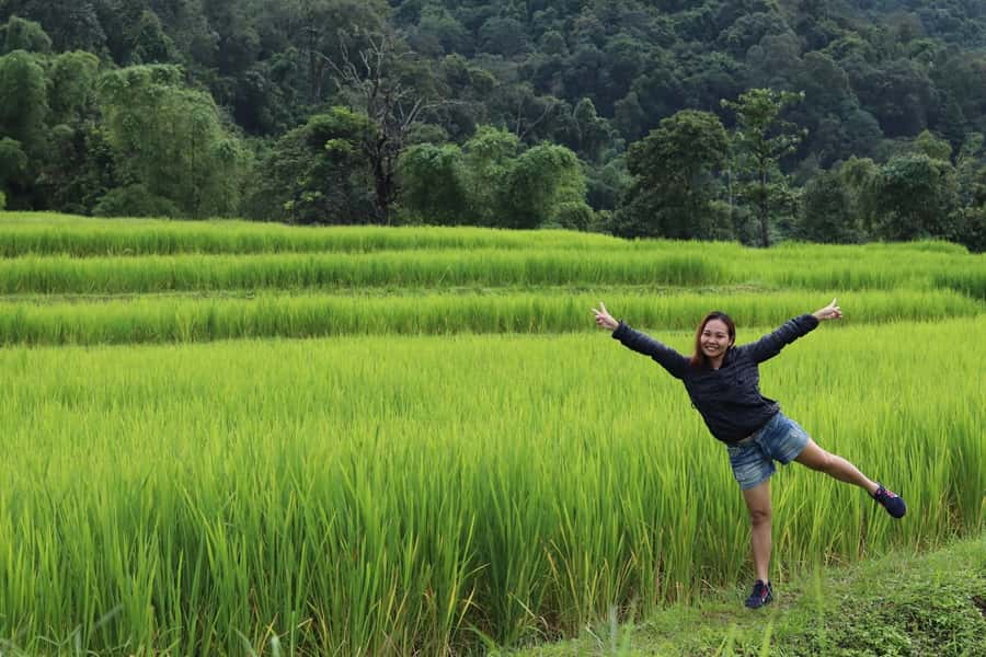 Private Doi Inthanon With Trekking Pha Dok Siew Nature Trail - Doi Inthanon at 2,565 meters