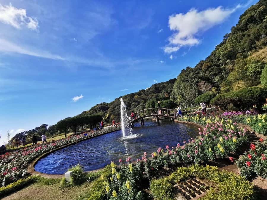 Private Doi Inthanon With Trekking Pha Dok Siew Nature Trail - The 1-hour-45-minute ride into the mountains
