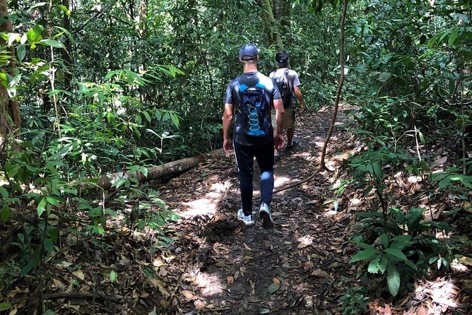 Private Full-Day Bukit Lawang Trekking Tour From Medan - Orangutans, gibbons, and patient wildlife watching