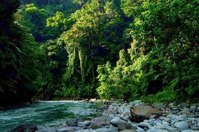 Private Full-Day Bukit Lawang Trekking Tour From Medan - Jungle lunch, fruit, and a useful midday rest