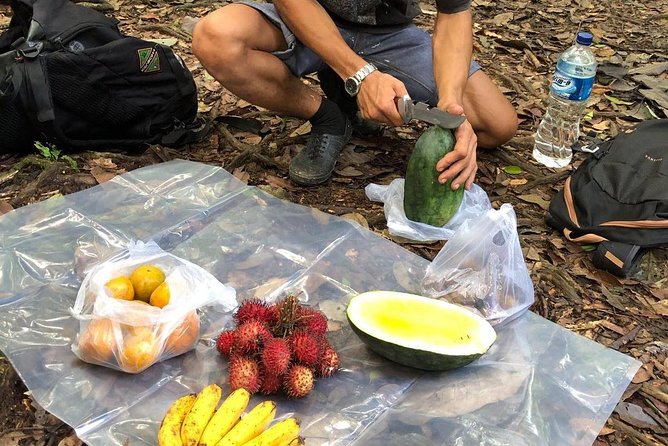 Private Full-Day Bukit Lawang Trekking Tour From Medan - What the $128.21 price covers