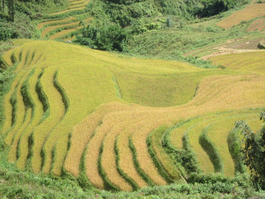 Private Hoang Lien National Park & Tribal Village Trek - How difficult is the 10-kilometer trek?