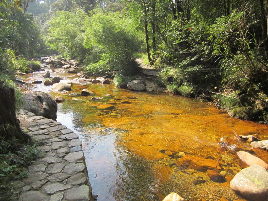 Private Hoang Lien National Park & Tribal Village Trek - Who should book this trek?