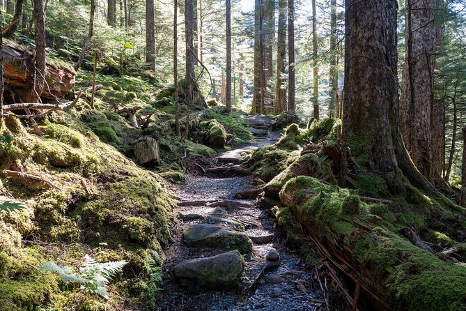 Private Ketchikan Mountain Lake Extended Trek to Alpine Overlook - Key points to know before you book