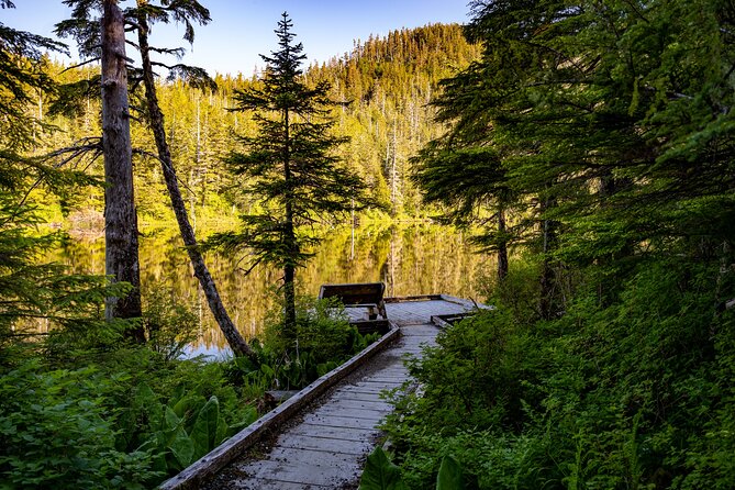 Private Ketchikan Mountain Lake Extended Trek to Alpine Overlook - The uphill forest: roots, rocks, and old-growth trees