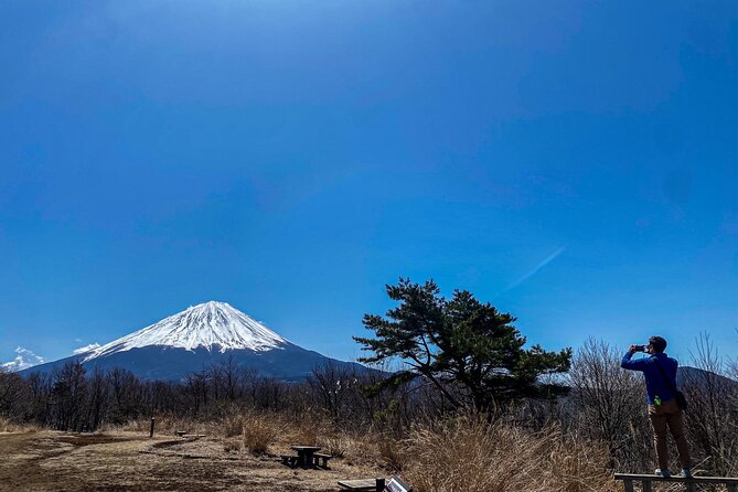 Private Local Hiking to enjoy the nature and culture of Mt.Fuji - Aokigahara Forest and the marks of an eruption