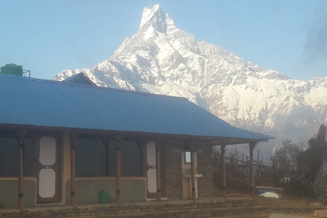 Private Mardi Himal Trek - Day two: Forest Camp and the climb to Low Camp