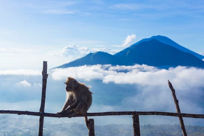 Private Mount Batur Sunrise Trekking Tour - Guides who turn a hard walk into a good morning