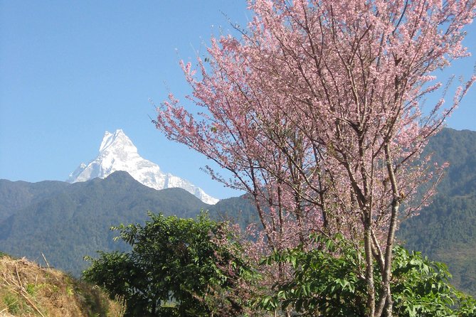 Private Multi Day Nepal Poon Hill Trekking Tour - Day 1: Kathmandu to Pokhara by private bus