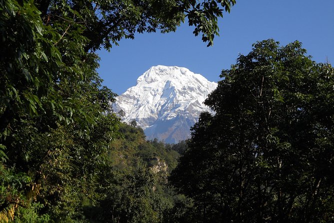 Private Multi Day Nepal Poon Hill Trekking Tour - Day 3: Tikhedhunga to Ghorepani over stone steps