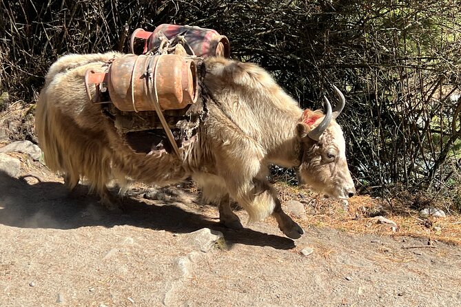 Private Multi Day Tour Everest Base Camp with Gokyo Lake Trek - Crossing toward Dragnag and the Gokyo Lakes