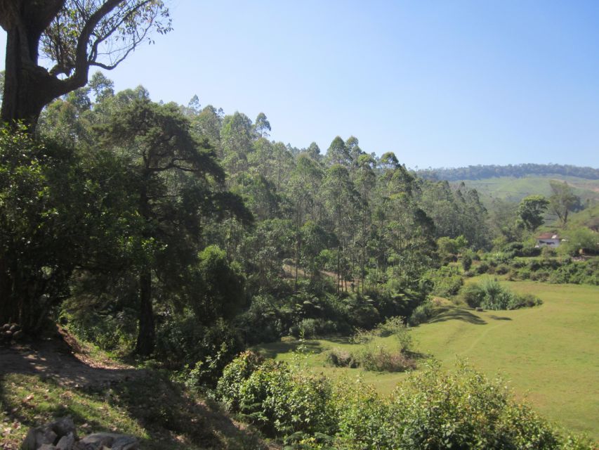 Private Munnar Tea Trek - What is included for $14