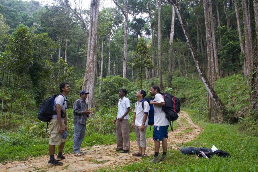 Private Munnar Tea Trek - Who will enjoy this Munnar trek?