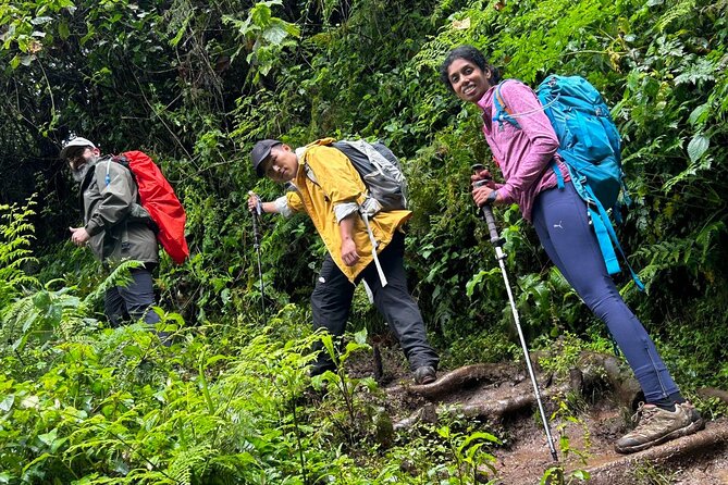 Private One-Day Trek to Mount Kilimanjaro - Why this day hike works after an Arusha safari