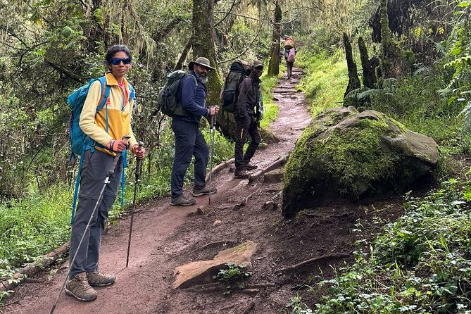 Private One-Day Trek to Mount Kilimanjaro - What the guide adds to the experience