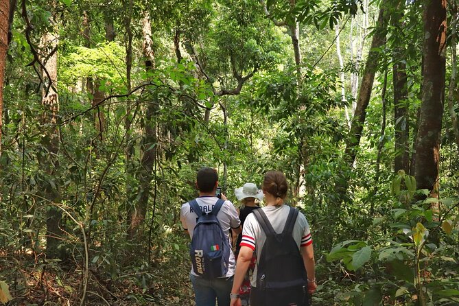 Private Tour Doi Inthanon And Trekking Nature Trail, Chiang Mai - What $133 includes, and what it does not
